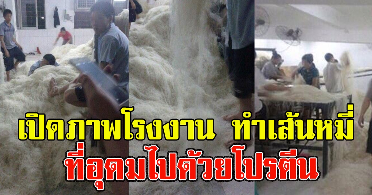 เปิดภาพโรงงาน ทำเส้นหมี่ ที่อุดมไปด้วยโปรตีน