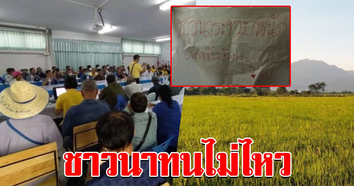 ชาวนาทนไม่ไหว ร้องขอปรับราคาข้าว