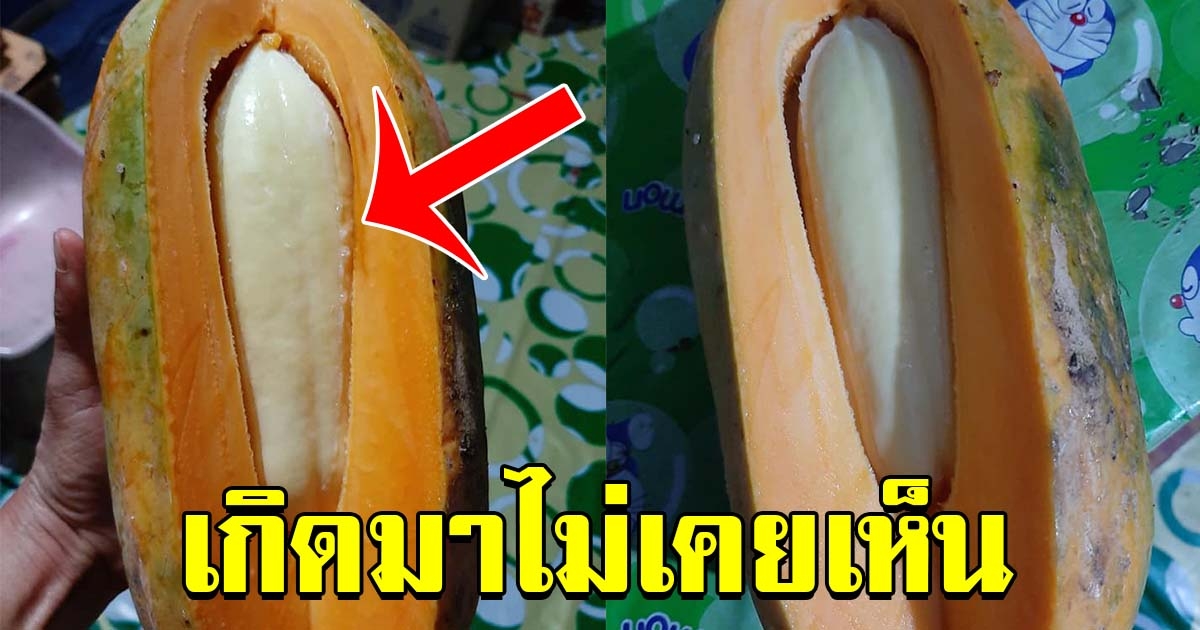 สาวสุดงง เจอมะละกอแปลก