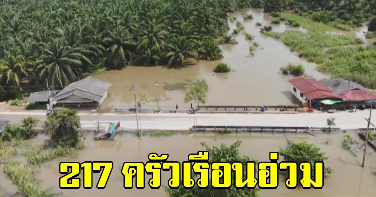 สุราษฎร์น้ำยังท่วมสูง 217 ครัวเรือนอ่วม