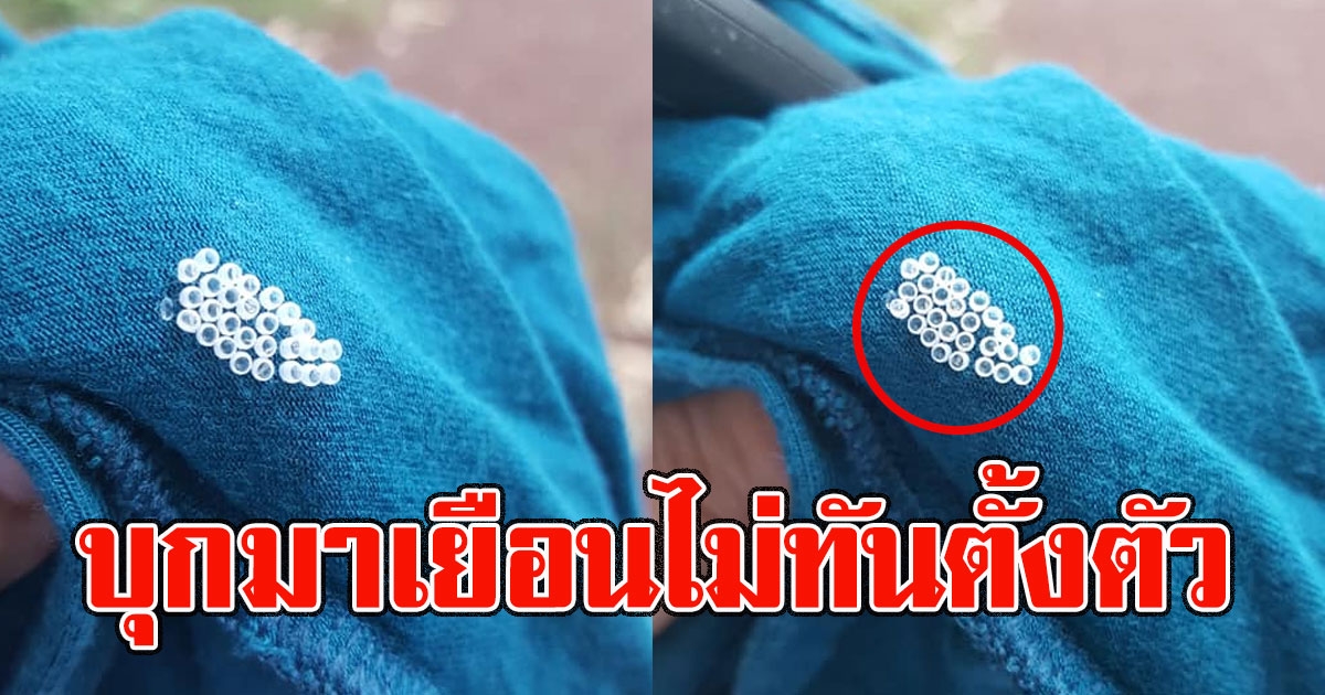 หนุ่มตากผ้าทิ้งไว้นอกบ้าน ผ่านไปแค่วันเดียว