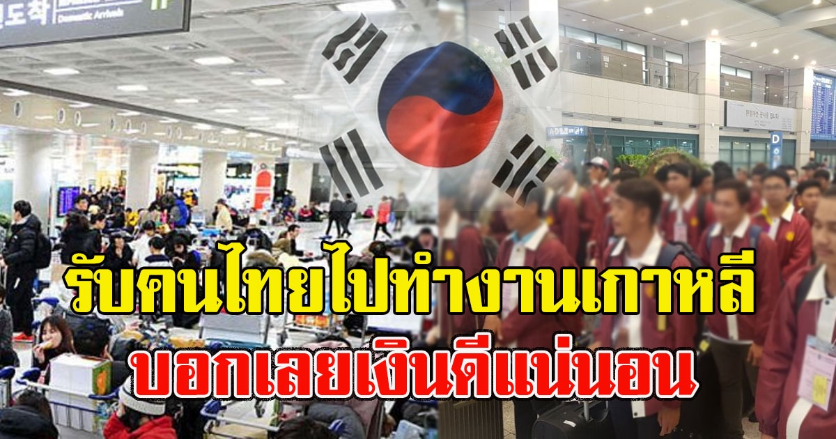 คนว่างงานเฮ เปิดรับแรงงานไปทำงานเกาหลี บอกเลยเงินดีแน่นอน