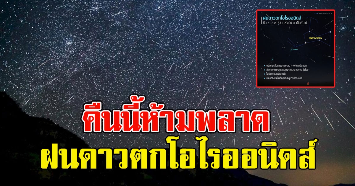 คืนนี้ห้ามพลาด มีฝนดาวตก อัตราการตกสูงสุด 20 ดวง ต่อชั่วโมง