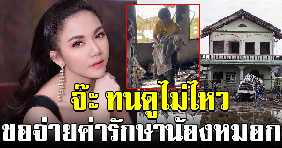 จ๊ะ ทนดูไม่ไหว ขอจ่ายค่ารักษา น้องหมอก จากเหตุท่อก๊าซระเบิด