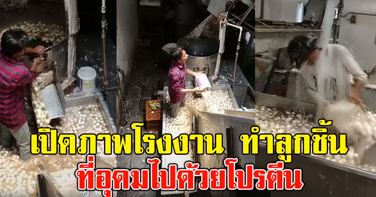 เปิดภาพโรงงาน ทำลูกชิ้น ที่อุดมไปด้วยโปรตีน