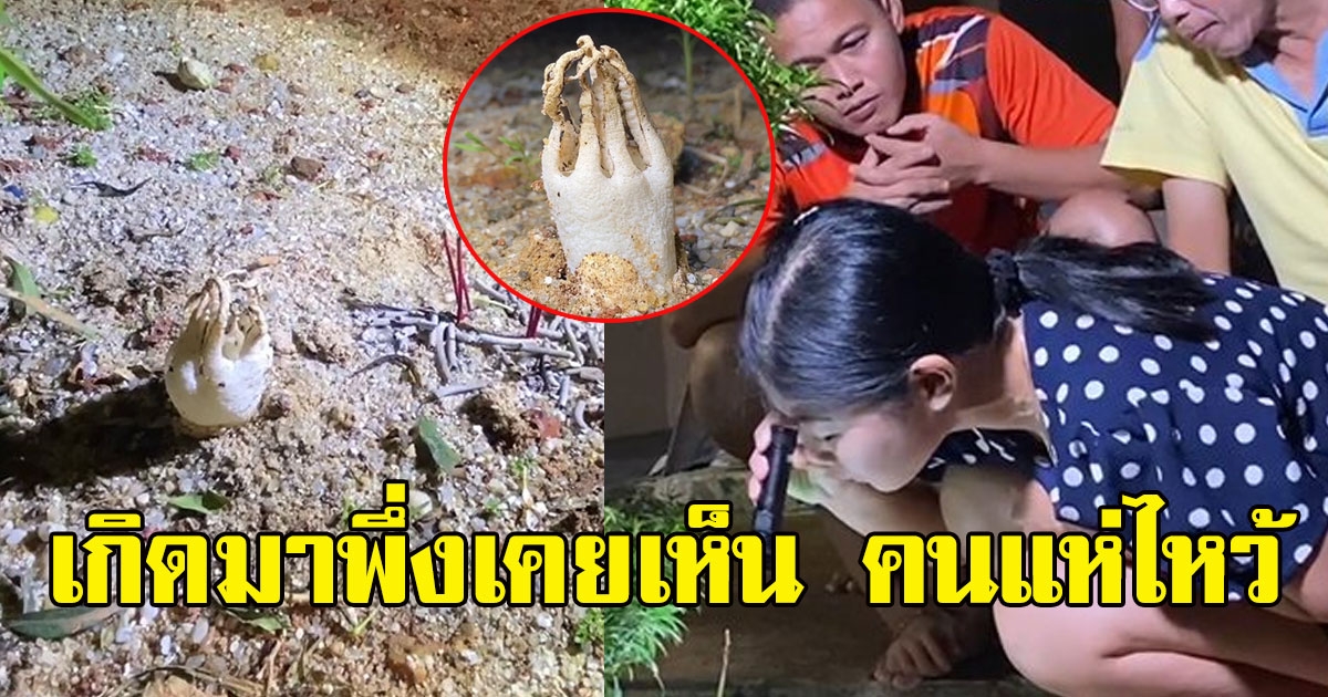 ชาวบ้านได้กลิ่น เหม็นเน่า ก่อนออกไปเจอ คนแห่กราบไหว้