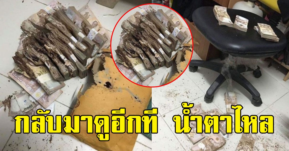 หนุ่มเก็บเงินก้อนโตไว้ในบ้าน ก่อนกลับมาดูอีกที