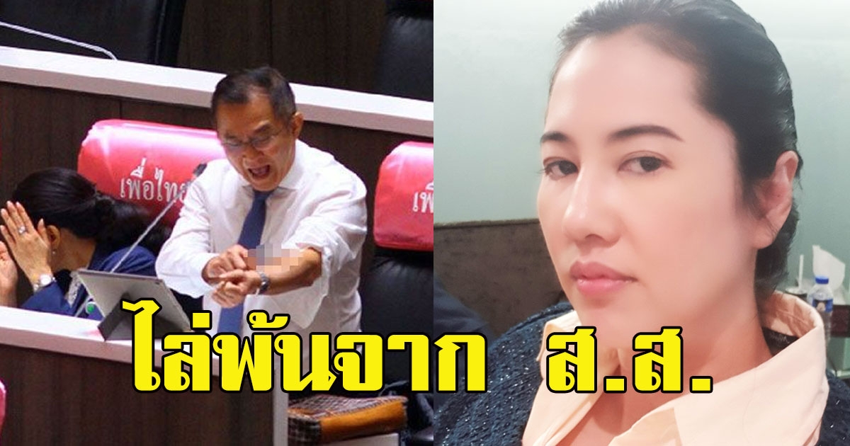 ปารีณา เดือด ซัด วิสาร กรีดแขนกลางสภาฯ ไล่พ้นจาก ส.ส.