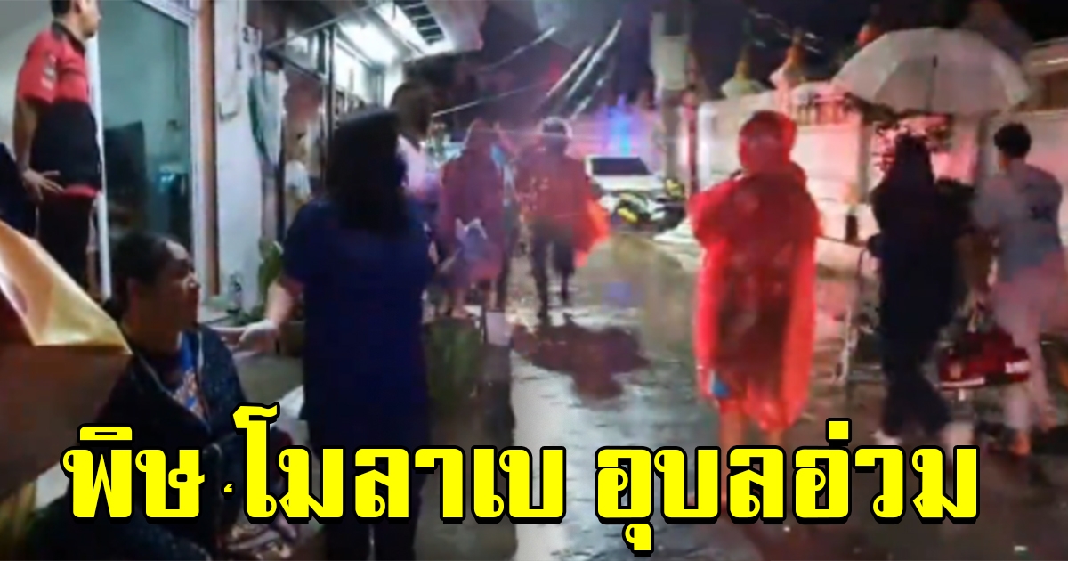 พิษพายุ โมลาเบ ซัดอุบลอ่วม ต้นไม้หักทับรถ มีชาวบ้านบาดเจ็บ