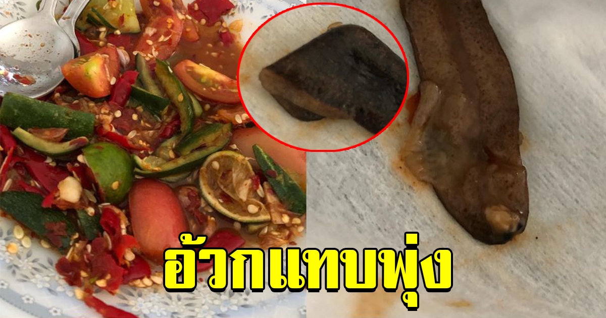 สาวกินส้มตำแซ่บๆ ก่อนเจอบางอย่างหนึบๆ ตักออกมาดู อ้วกแทบพุ่ง