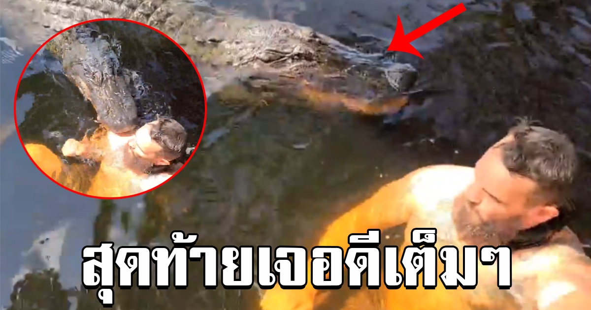 หนุ่มใจกล้า ลงไปแช่น้ำกับไอ้เข้ยักษ์ สุดท้ายเจอดีเต็มๆ