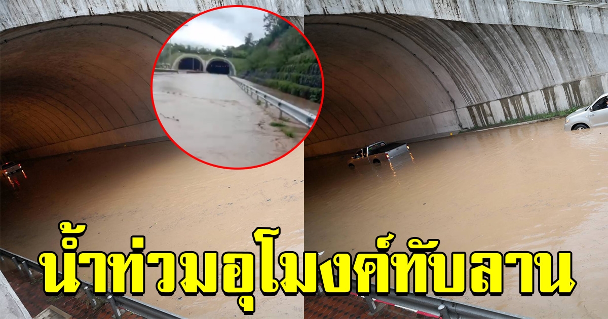 น้ำท่วม อุโมงค์เชื่อมผืนป่าเขาใหญ่ ทับลาน
