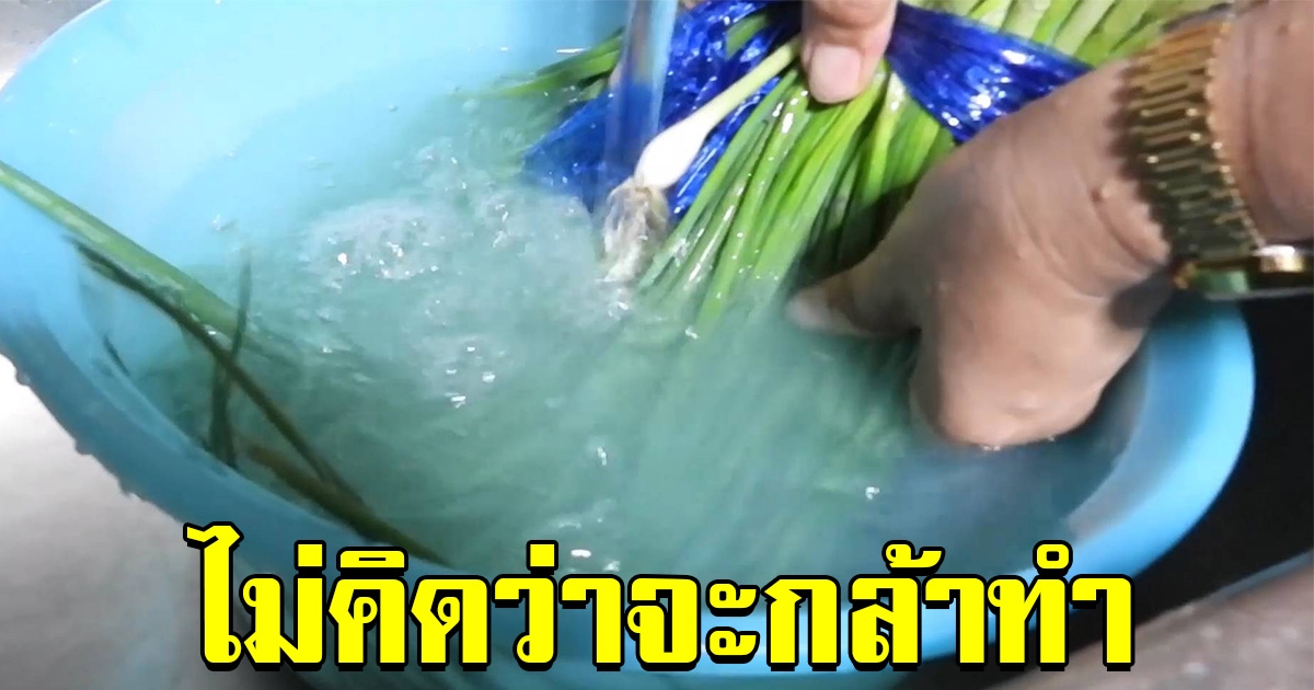 แม่ค้าร้องเรียน เจอต้นหอมย้อมสีเขียว เป็นห่วงลูกค้าที่ซื้อไป