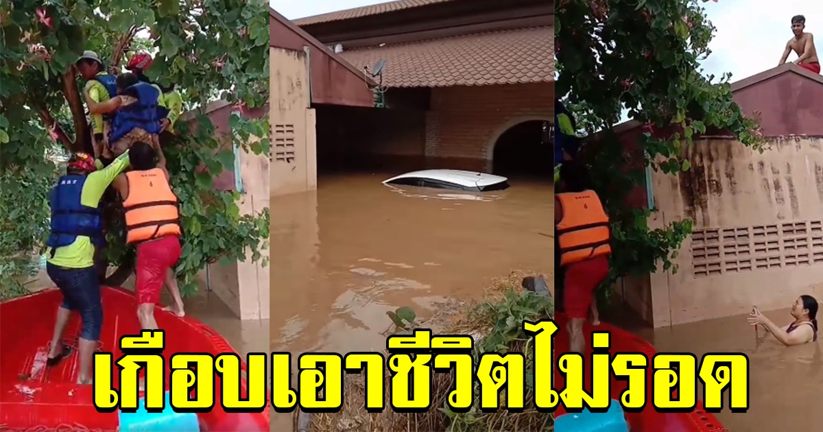 นาทีกู้ภัยช่วย ยายปีนต้นไม้ หนีน้ำป่า ที่ทับลาน