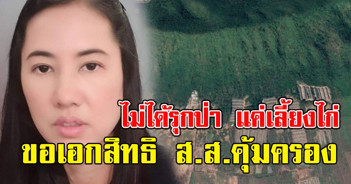 ปารีณา เตรียมขอเอกสิทธิ ส.ส.คุ้มครอง ยันไม่ได้รุกป่า แค่เลี้ยงไก่