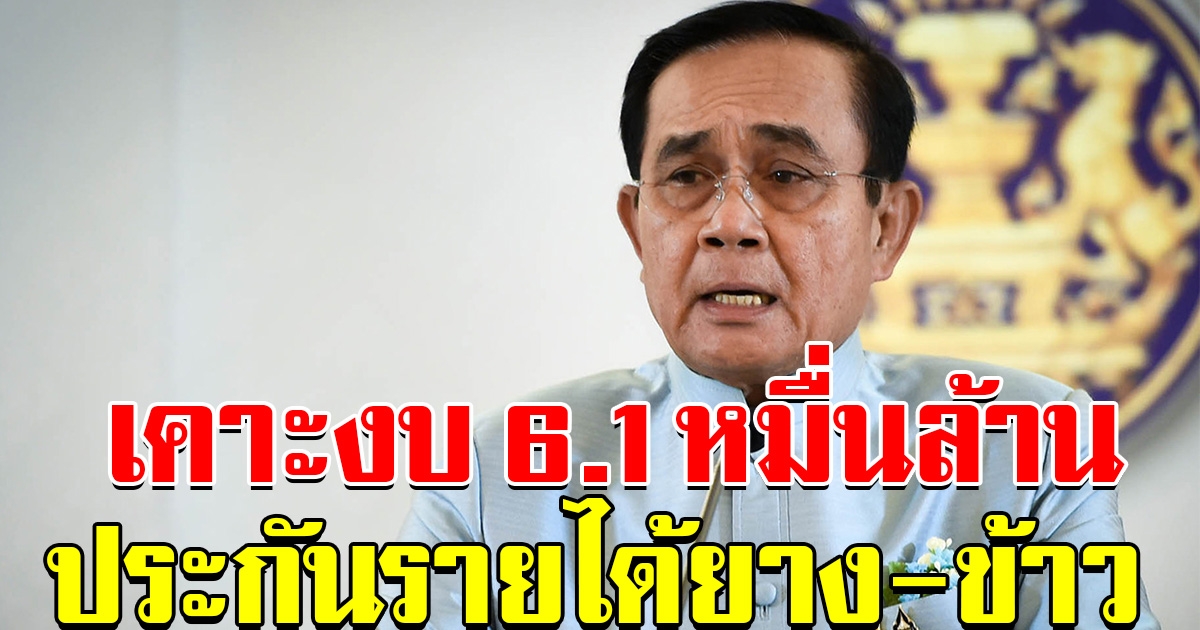ครม.เคาะงบ 6.1 หมื่นล้าน ประกันรายได้ยาง-ข้าว