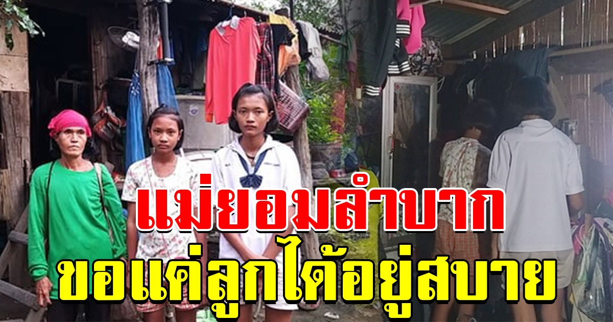 แม่ใจสู้ อาศัยกระต๊อบเก่าๆ ขุดจิ้งหรีดขายต่อชีวิต ฝันอยากมีบ้านดีๆให้ลูกสักหลัง