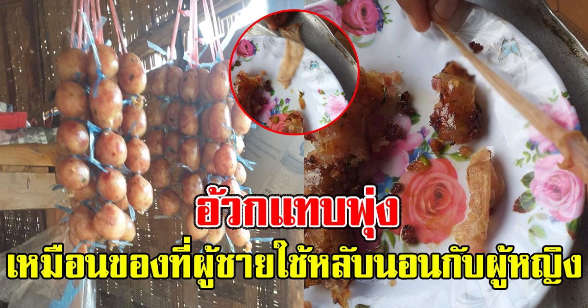 สาวเล่านาที เจอ ไส้กรอกย่าง ที่ผิดแปลกเหมือนของที่ผู้ชายใช้หลับนอนกับผู้หญิง