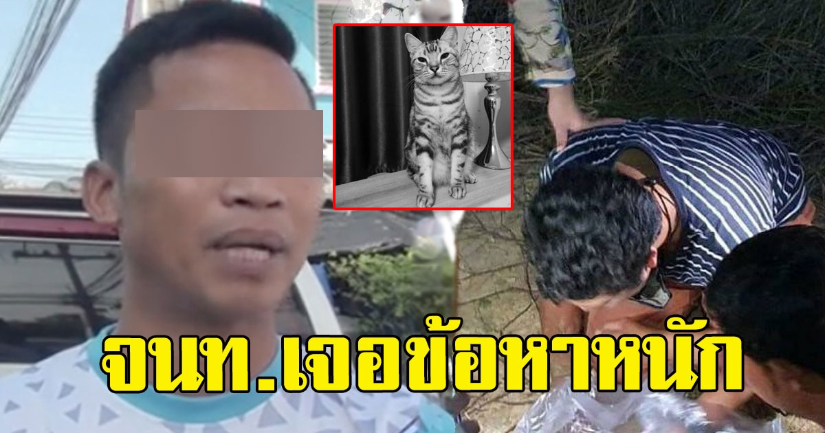 จนท.กู้ภัย งานเข้า เจ้าของแมว เจ้าสัว แจ้งข้อหาหนัก