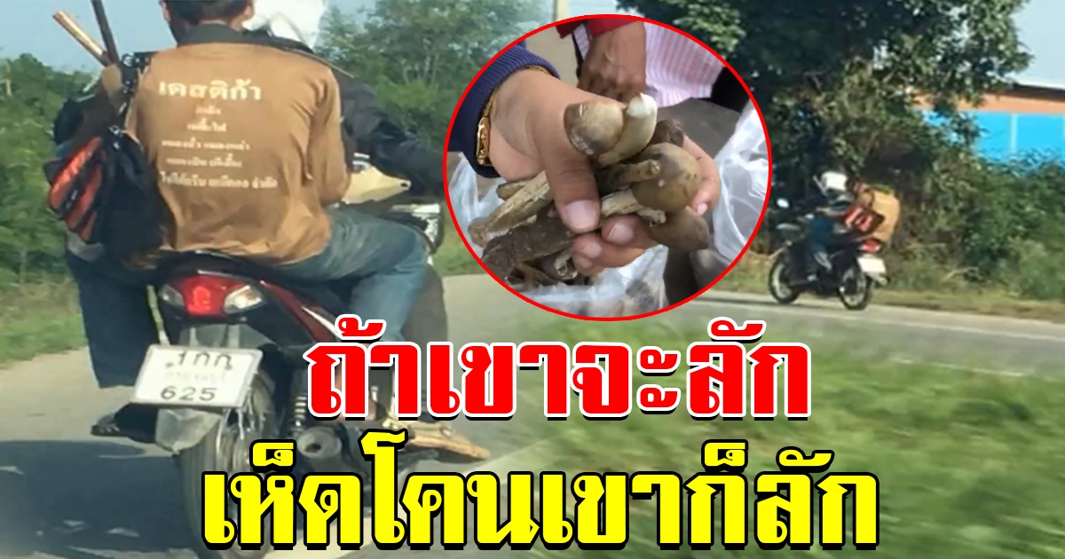 ต้องขนาดไหน 2 โจรวิ่งราวเห็ดโคน พลเมืองดีตามถ่ายรูปได้ทัน