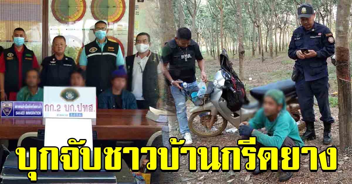 ปทส.บุกจับชาวบ้าน กรีดยาง ข้อหาลักลอบเก็บของป่า ในที่ดินทำกินที่ถูกยึด โดยไม่มีการเยียวยา