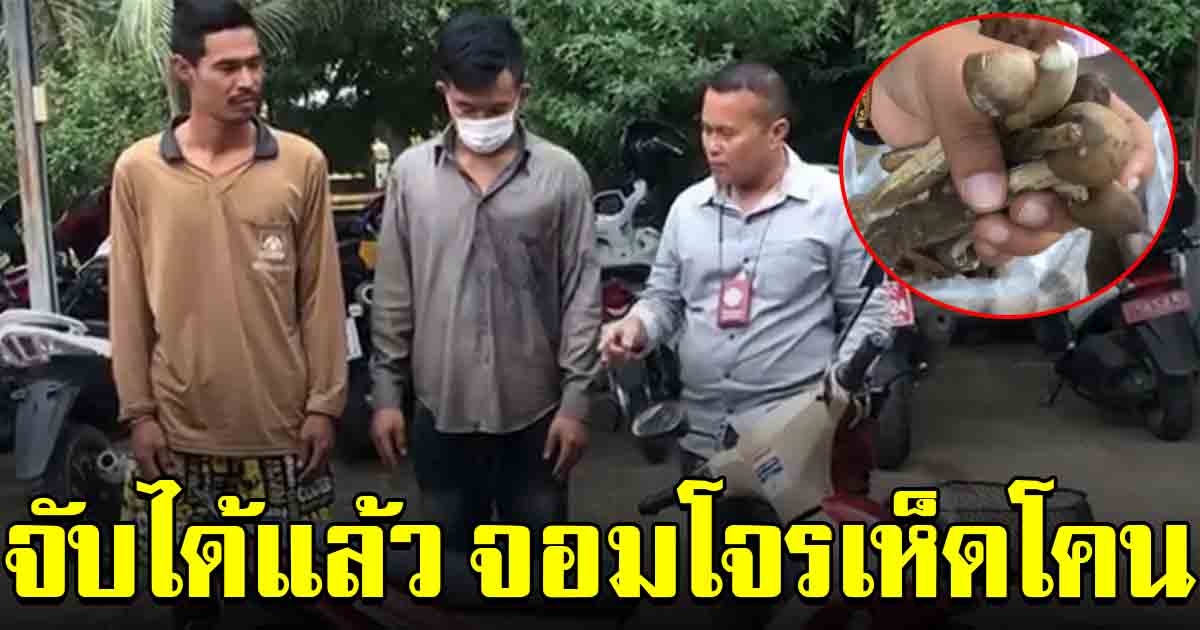 จับได้แล้ว 2 จอมโจรเห็ดโคน เผยสาเหตุที่ขโมยเห็ดแม่ค้าริมทาง