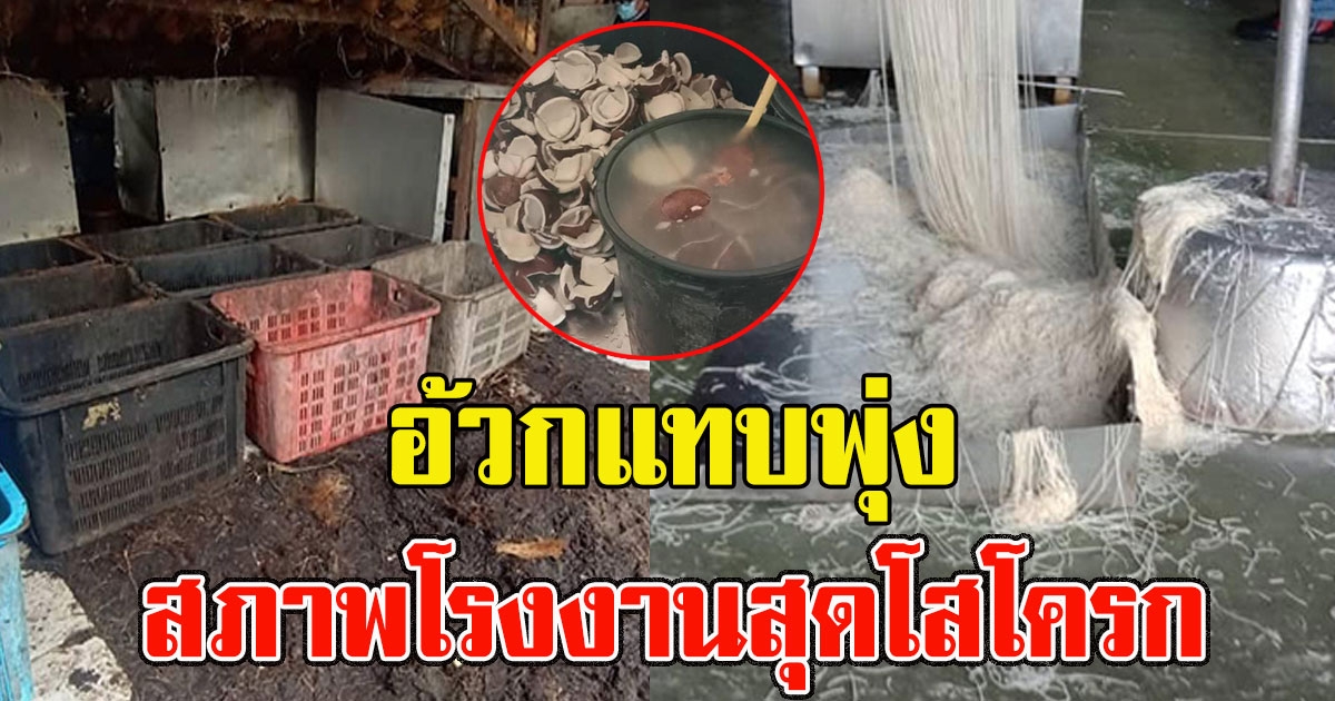 เปิดภาพ 2 โรงงานสุดโสโครก ติดฟาร์มหมู กองข้างส้วม