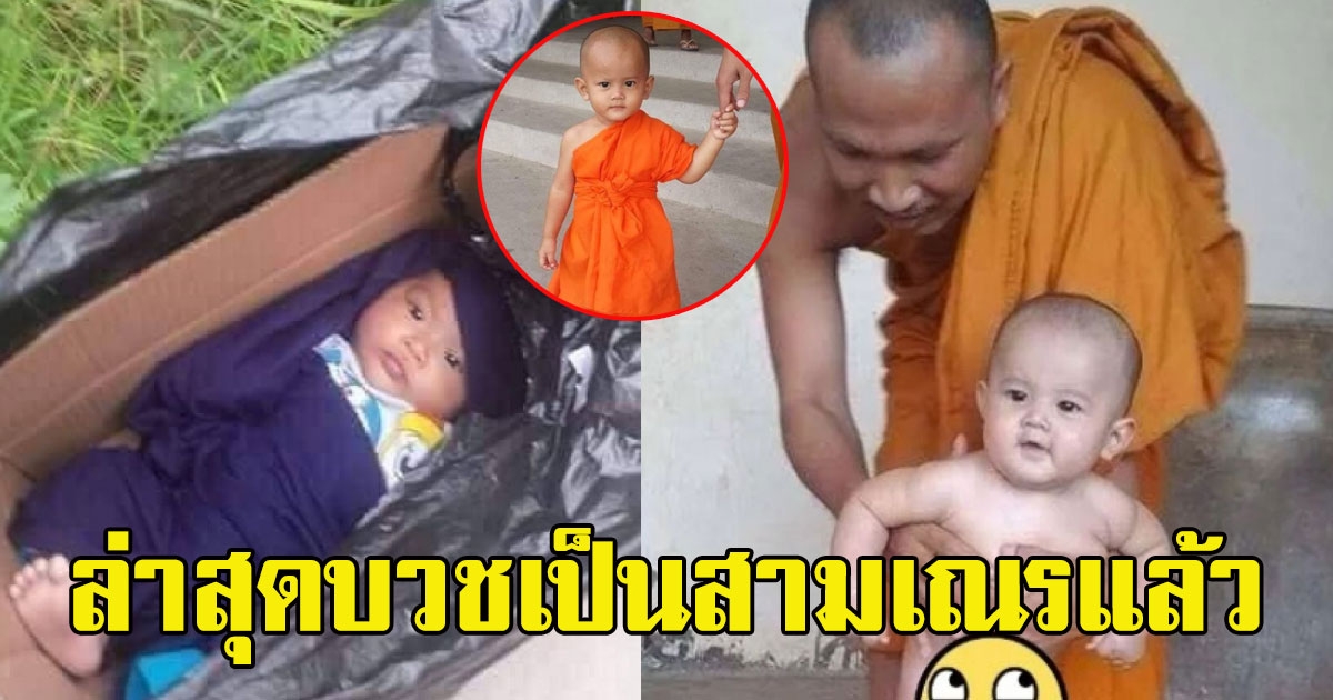 จำได้ไหม หนูน้อยถูกแม่ทิ้ง หลังหลวงตาเก็บไปเลี้ยง ล่าสุดบวชเป็นสามเณรแล้ว