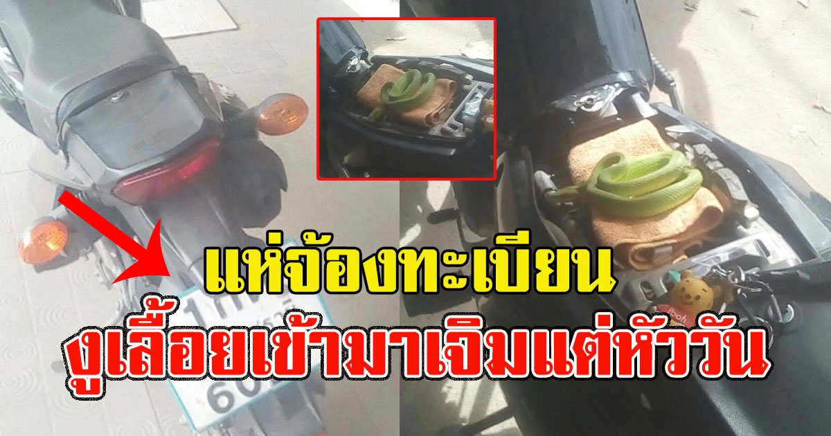 หนุ่มออกรถมือสองมาวันแรก จอดทิ้งไว้ เจอแขกไม่ได้รับเชิญ