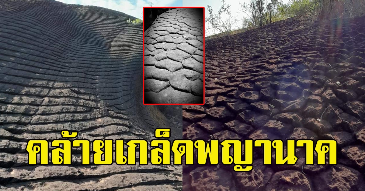 อัศจรรย์ ภูวัว จ.บึงกาฬ ลานหินด้านบนขึ้นเกล็ดคล้ายพญานาค