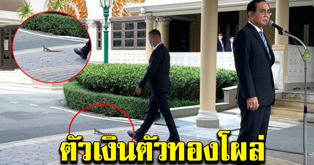 นายกฯลั่น จำเป็นใช้ กม.เข้มขึ้นคุมม็อบ ฮือฮาตัวเงินตัวทองโผล่