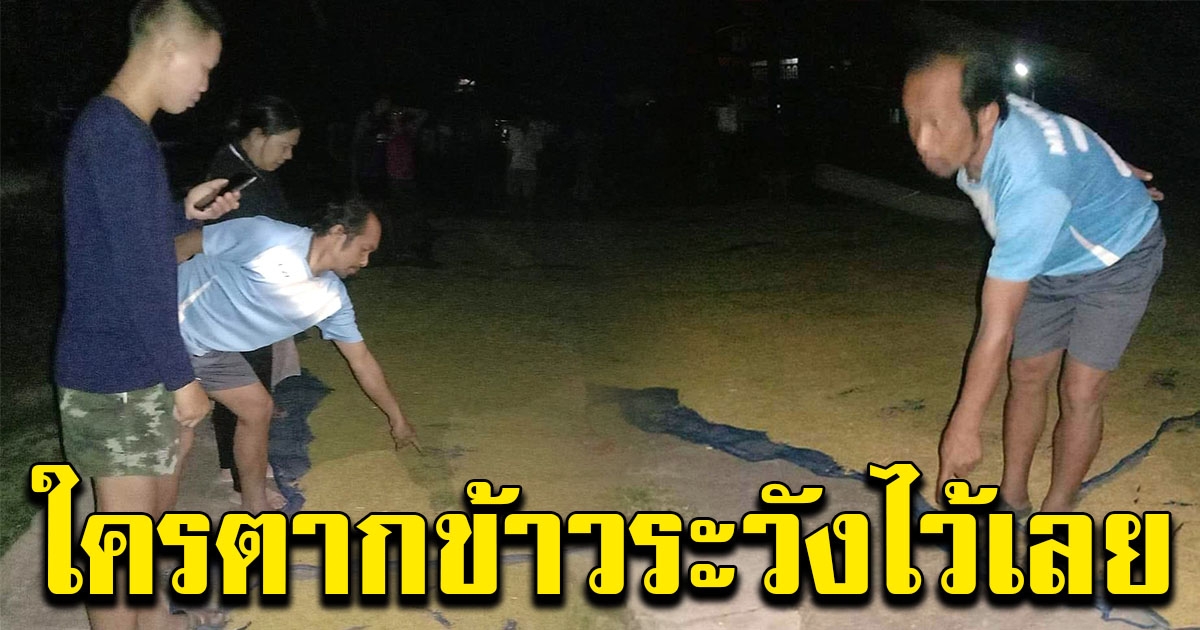 ชาวบ้านตากข้าวไว้ จู่ๆมีรถ 6 ล้อขับมาจอดใกล้ๆกองข้าว สุดท้ายทำเอาช้ำใจ