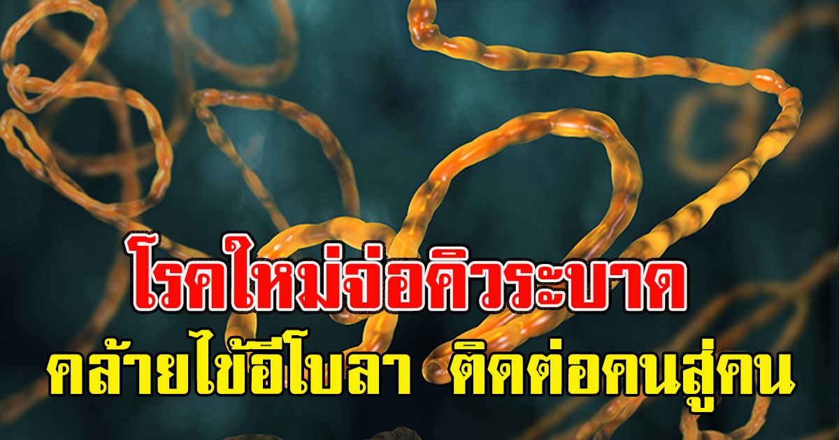 โควิดยังไม่ซา โรคใหม่จ่อคิวระบาดคล้ายไข้อีโบลา ติดต่อคนสู่คน ดับแล้ว 3
