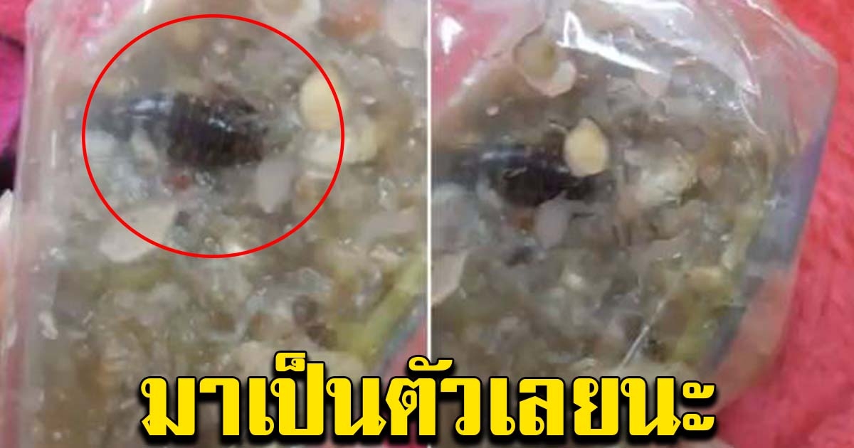 สาวซื้อน้ำพริก หวังกินแซ่บๆ สุดท้ายต้องโยนทิ้ง