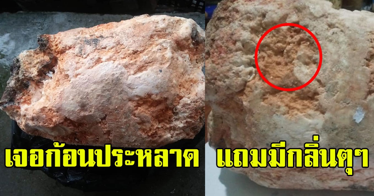 สาวค้นพบก้อนประหลาด ลอยมาเกยชายหาด แถมมีกลิ่นตุๆ