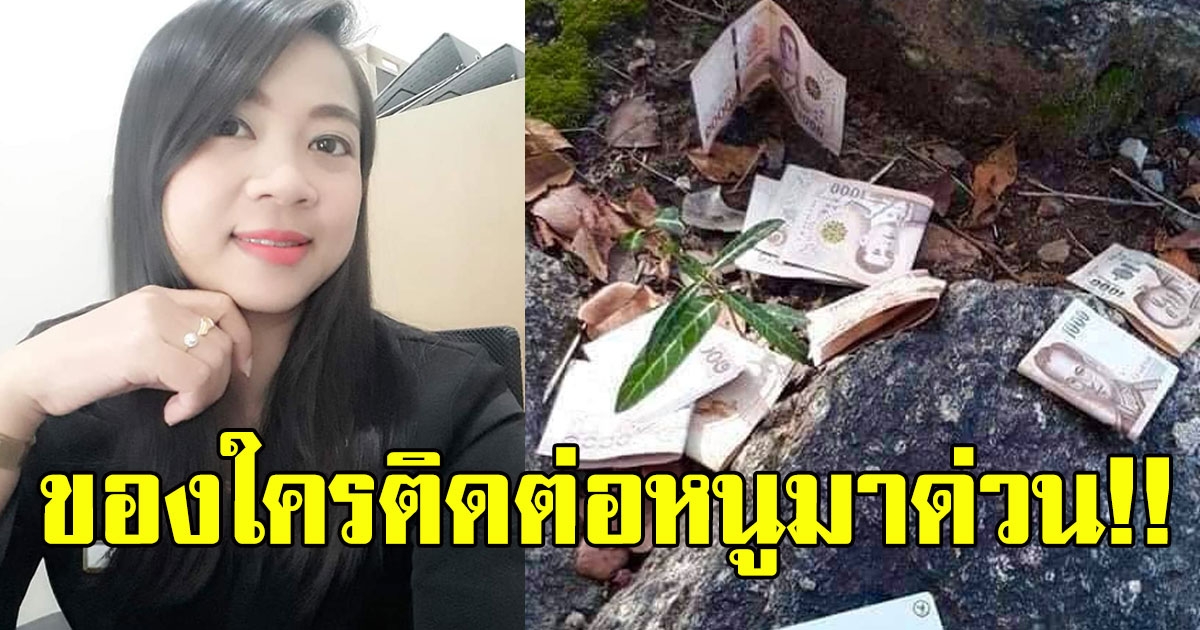 สาวแวะมาเที่ยวเขาหินเหล็กไฟ ก่อนเหลือบไปมองซอกหิน เจอเงินกองเต็ม