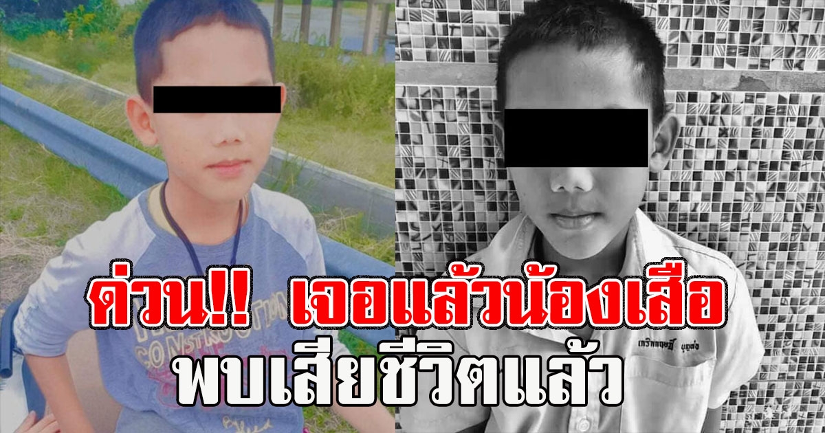 ด่วน เจอแล้ว น้องเสือ หลังหายตัวออกจากบ้านปริศนา พบเสียชีวิตแล้ว