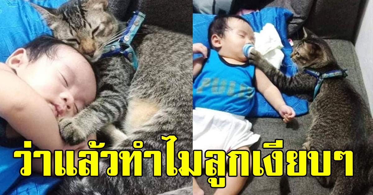 แม่เห็นบุตรเงียบๆ เลยรีบเดินไปดู เห็นภาพตรงหน้า