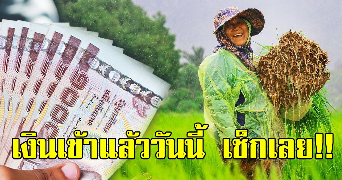 เงินเข้าแล้ววันนี้ ประกันรายได้เกษตรกร รอบ 2