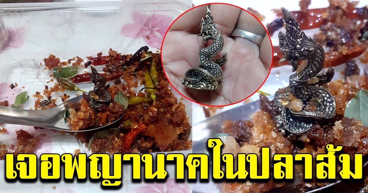 หนุ่มซื้อปลาส้มทอดมาจากงานดัง หวังกินแซ่บๆ แต่ดันเจอพญานาค