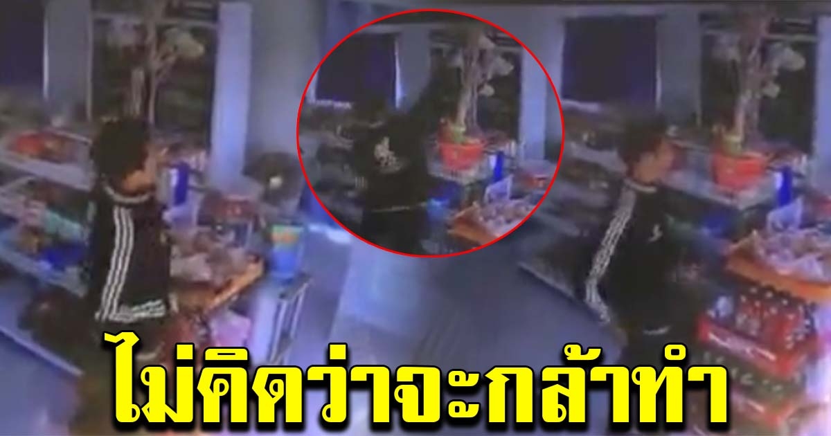 หนุ่มเดินวนต้นผ้าป่า นึกว่าจะทำบุญ