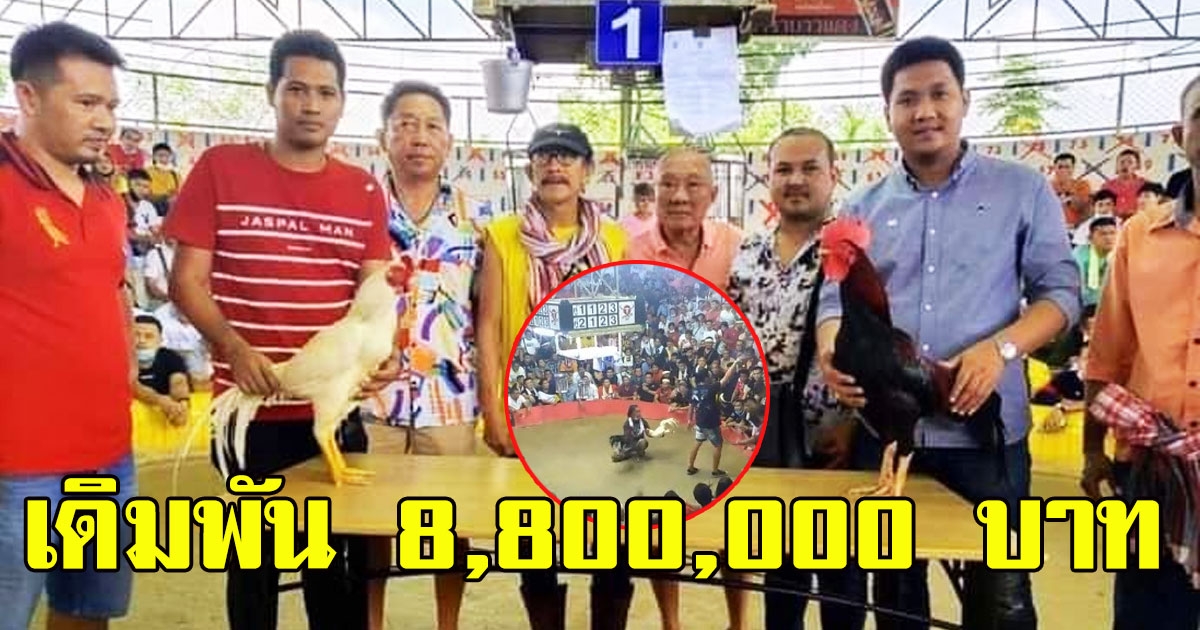 เปิดผลชนไก่นัดประวัติศาสตร์ เดิมพันสูง 8.8 ล้าน