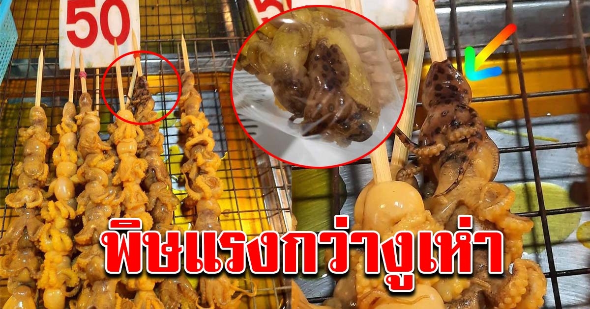 ดูให้ดี อย่ากินเด็ดขาด พบหมึกบลูริงเสียบไม้ขาย พิษแรงกว่างูเห่า