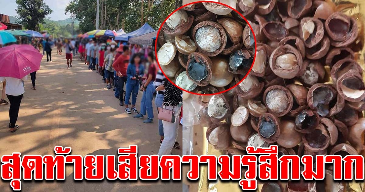 สาวไปเที่ยวสกายวอร์ค ซื้อแมคคาเดเมีย หวังแกะกินแซ่บๆ