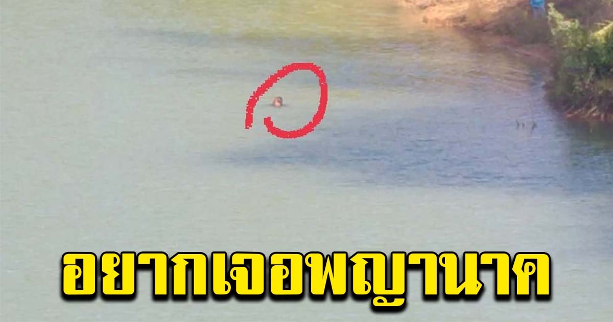 หนุ่มอยากเจอพญานาค ตัดสินใจโดดลงสระน้ำเก่า