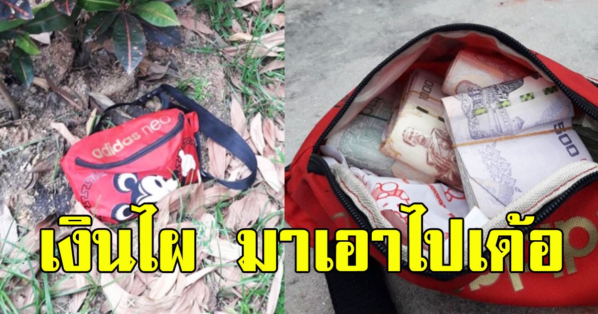 สาวอึดอัดใจ เห็นกระเป๋าตกข้างทาง เปิดดูเจอเงินแสนปึกใหญ่