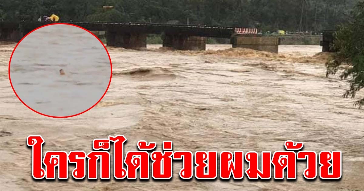 ด่วน หนุ่มพยายามเอาชีวิตรอด หลังขับรถข้ามสะพาน จู่ๆน้ำซัดขาด ตกลงไปทั้งคนทั้งรถ