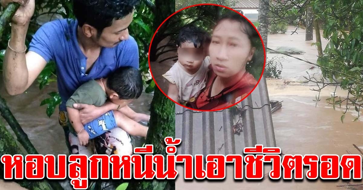 เราต้องรอด พ่อแม่อุ้มลูก ปีนต้นไม้หนีน้ำป่าที่ท่วมหนัก