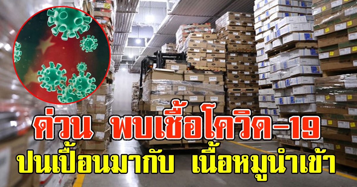 ด่วน พบเชื้อ โควิด-19 ปนเปื้อนมากับ เนื้อหมูนำเข้า