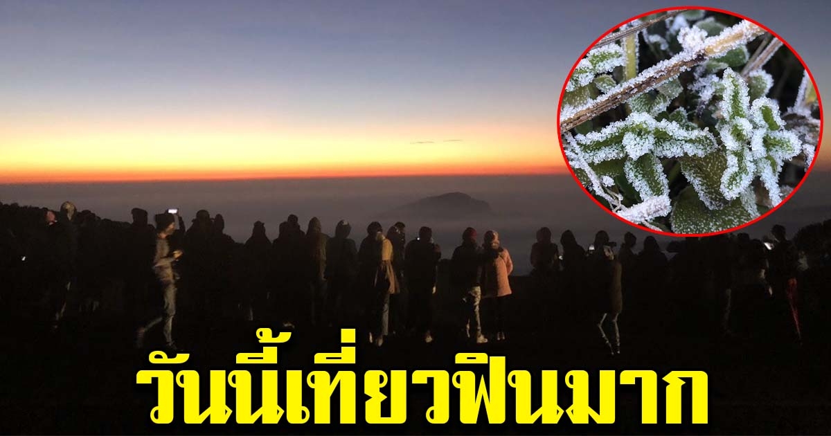 อินทนนท์หนาวจัด 3 องศา คนเที่ยวฟิน ชมเหมยขาบ